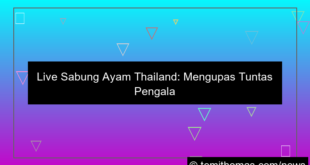 ilustrasi live sabung ayam thailand