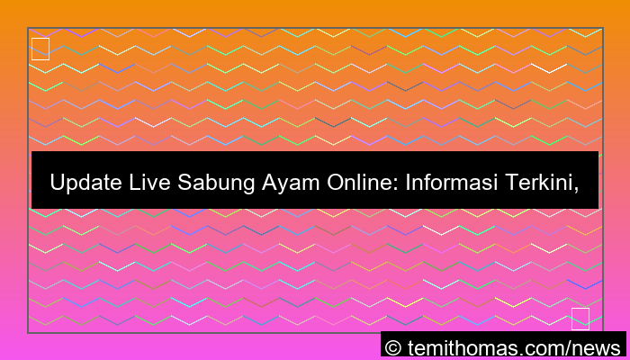 live sabung ayam update