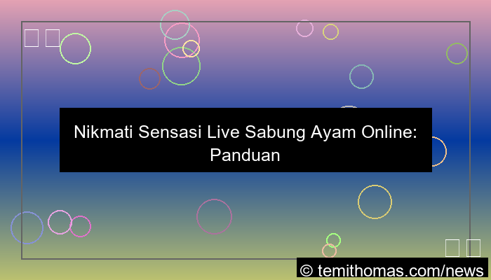 live sabung ayam