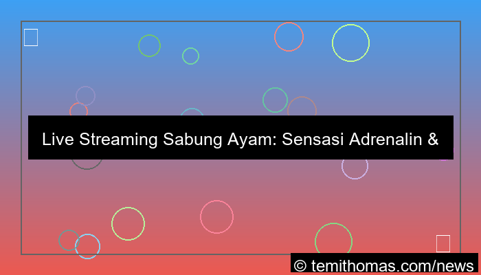 live streaming sabung ayam