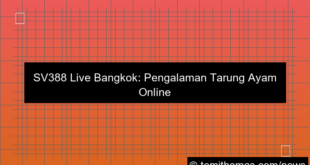 grafik live sv388 bangkok