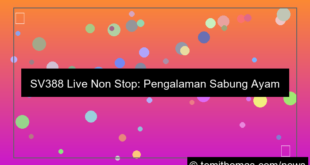 visual live sv388 non stop