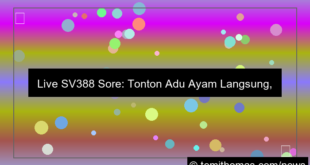 visual live sv388 sore