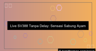 desain live sv388 tanpa delay