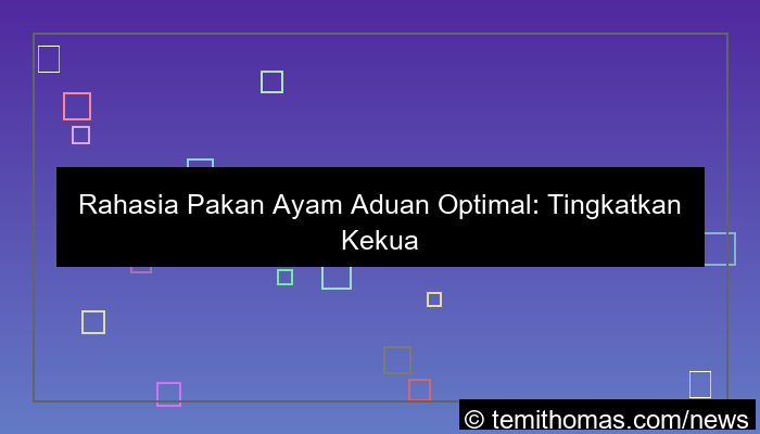 pakan ayam aduan