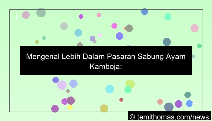 pasaran sabung ayam cambodia