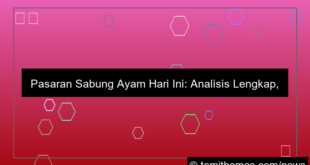 desain pasaran sabung ayam hari ini