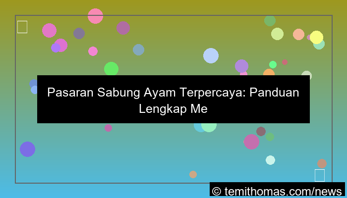pasaran sabung ayam terpercaya