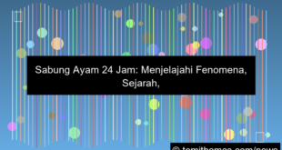 grafik sabung ayam 24 jam