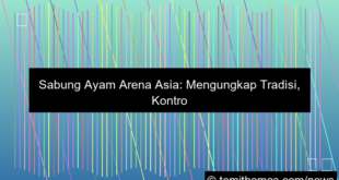 sabung ayam arena asia