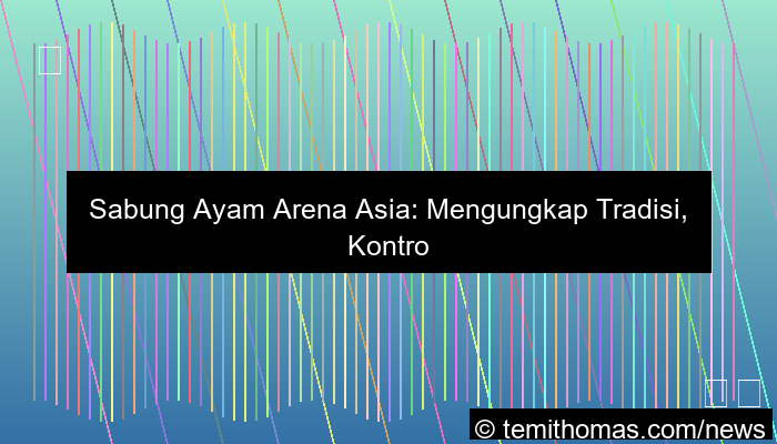 sabung ayam arena asia