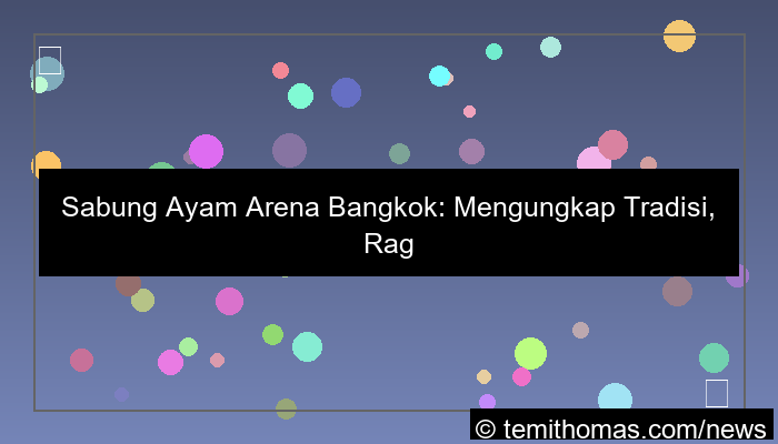 visual sabung ayam arena bangkok