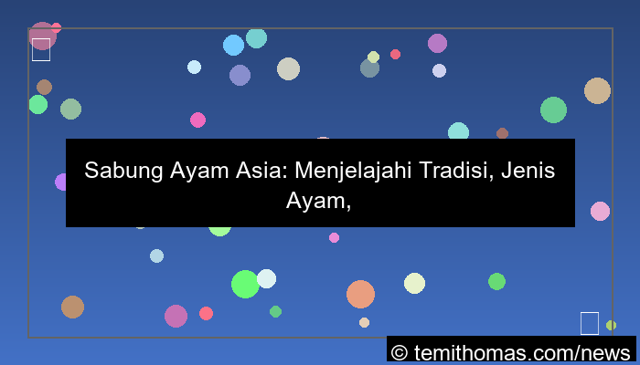 sabung ayam asia