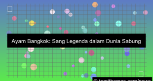 visual sabung ayam bangkok