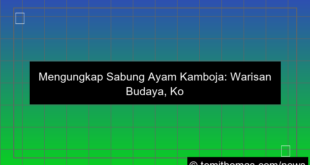 sabung ayam cambodia