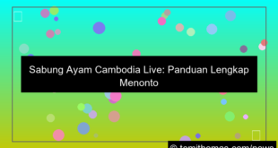 sabung ayam cambodia live