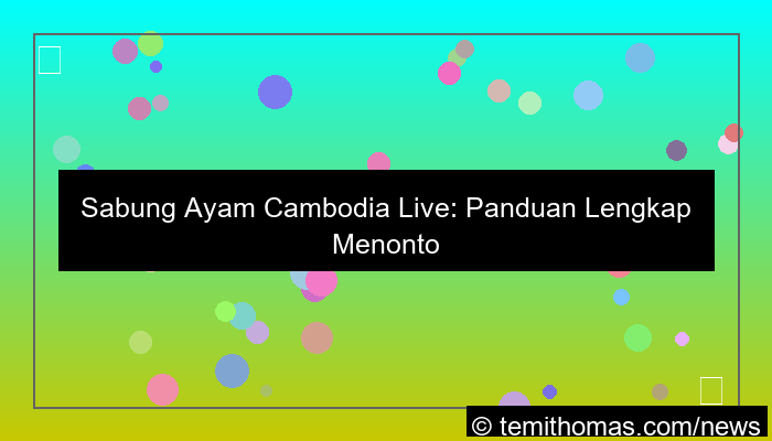 sabung ayam cambodia live