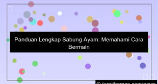 sabung ayam cara bermain