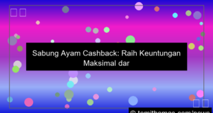 sabung ayam cashback