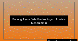 sabung ayam data pertandingan