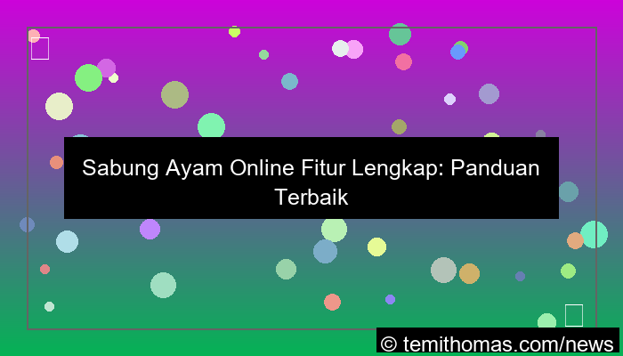 ilustrasi sabung ayam fitur lengkap