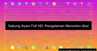 sabung ayam full hd