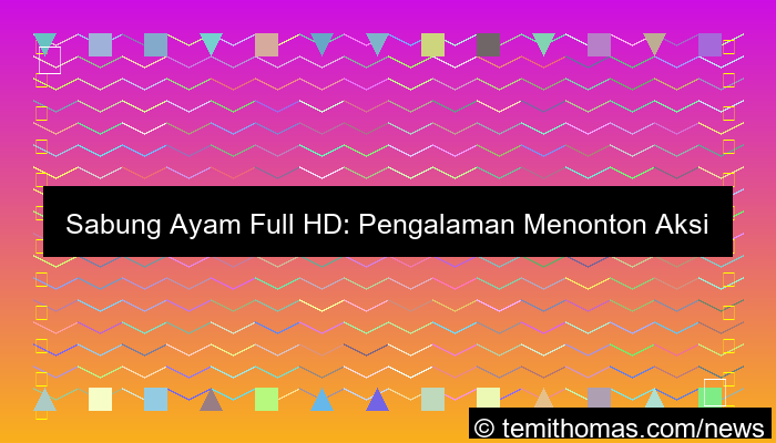 sabung ayam full hd