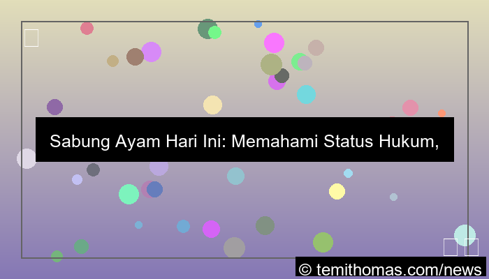 grafik sabung ayam hari ini