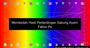 gambar sabung ayam hasil pertandingan