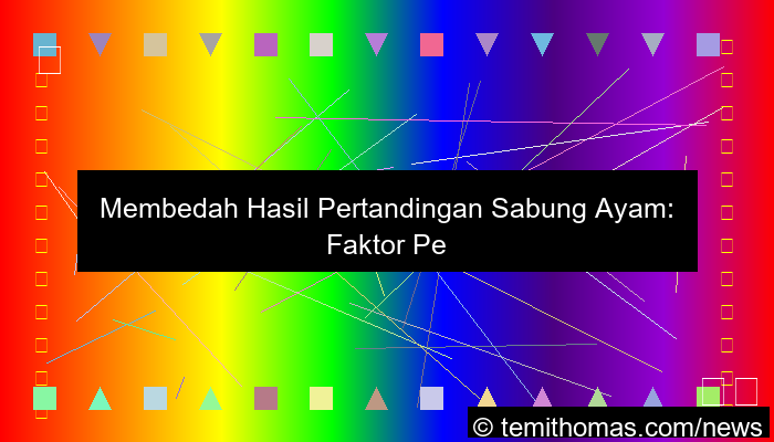 gambar sabung ayam hasil pertandingan