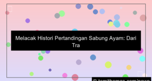 sabung ayam histori pertandingan