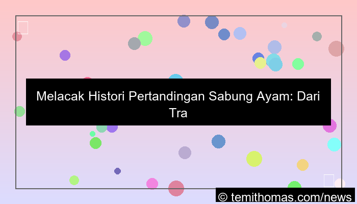 sabung ayam histori pertandingan