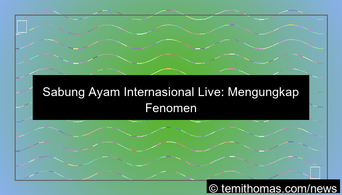 sabung ayam internasional live