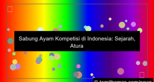 sabung ayam kompetisi