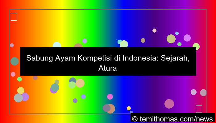 sabung ayam kompetisi