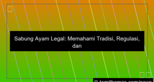 sabung ayam legal