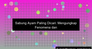 sabung ayam paling dicari