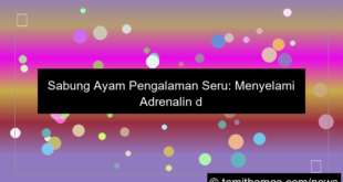 gambar sabung ayam pengalaman seru