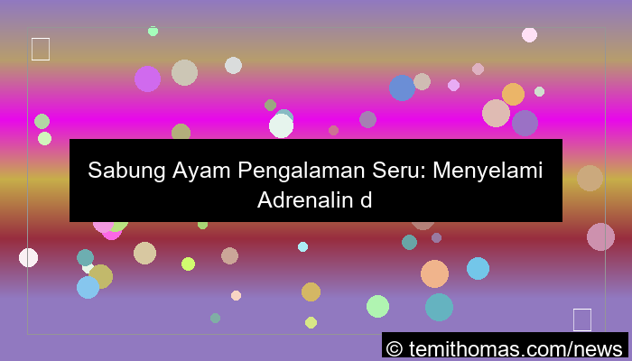 gambar sabung ayam pengalaman seru