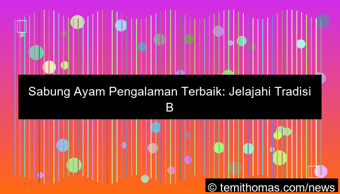 visual sabung ayam pengalaman terbaik