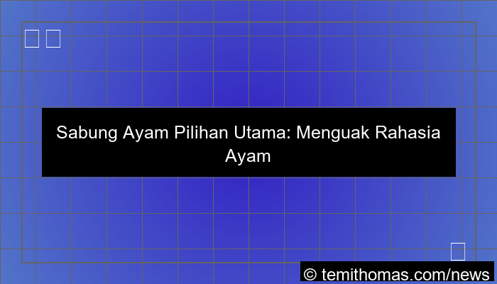 sabung ayam pilihan utama