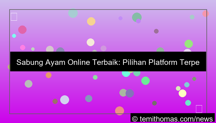 sabung ayam platform terbaik