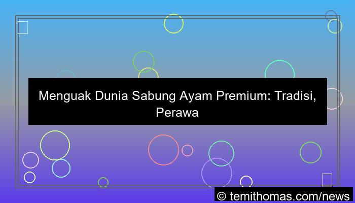 desain sabung ayam premium