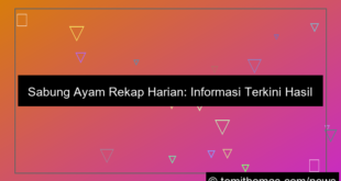 gambar sabung ayam rekap harian