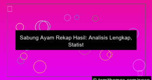 ilustrasi sabung ayam rekap hasil