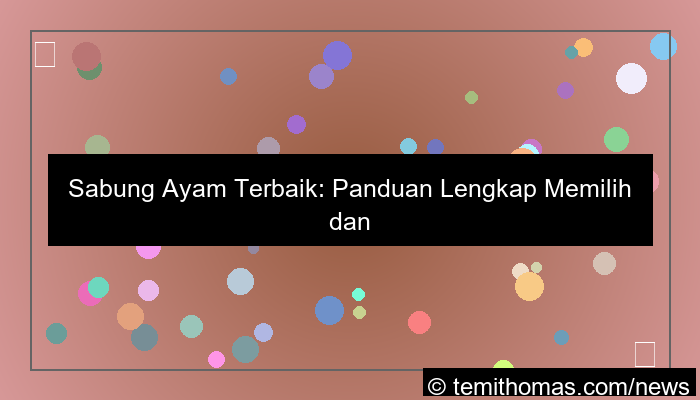 sabung ayam rekomendasi terbaik