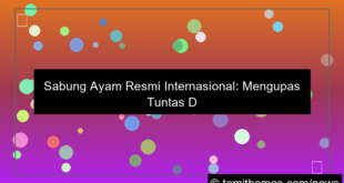 visual sabung ayam resmi internasional