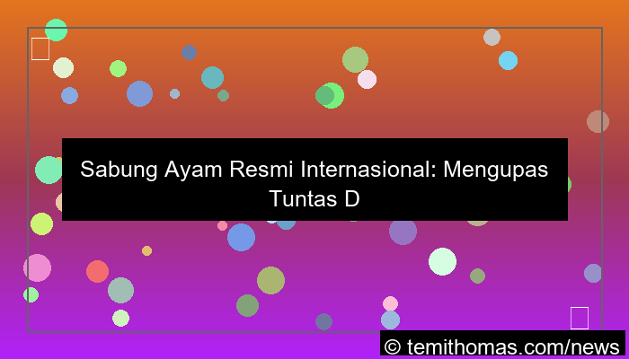 visual sabung ayam resmi internasional