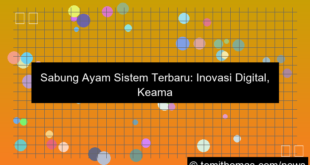 sabung ayam sistem terbaru