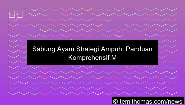 sabung ayam strategi ampuh